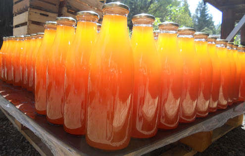 bouteilles pretes